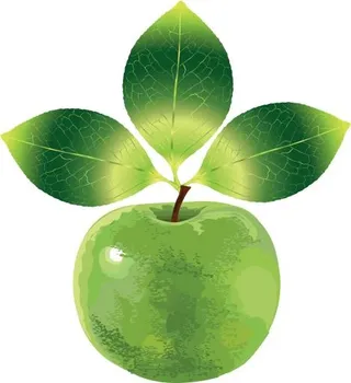 苹果透明PNG免抠