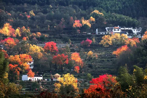 安徽塔川风景图片-第11张 安徽塔川风景图片-第11张