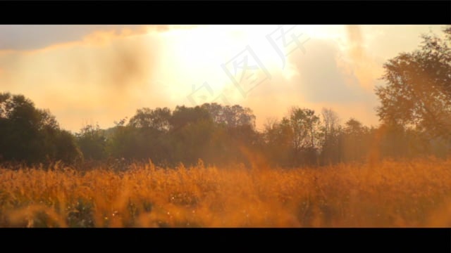 早晨, 夏天, 清晨, 日出, 孙光, 网络, 自然, 旅行