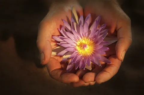手捧荷花睡莲鲜花图片 手捧荷花睡莲鲜花图片