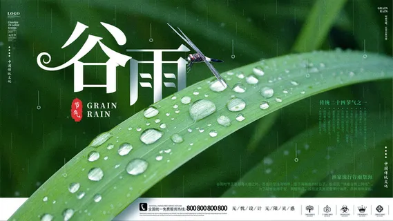谷雨二十四节气海报设计