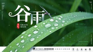 谷雨二十四节气海报设计