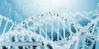 曲线DNA分子式高清图片素材