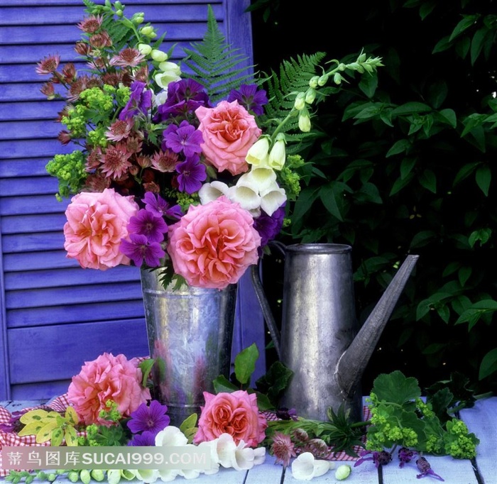 鲜花玫瑰花束装饰静物