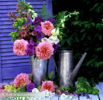 鲜花玫瑰花束装饰静物