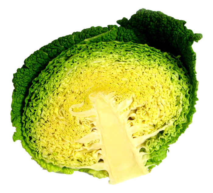 花椰菜蔬菜
