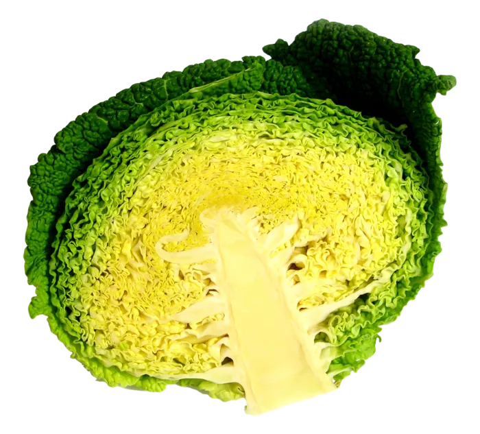 花椰菜蔬菜