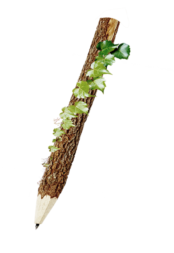 彩色个性木头藤蔓铅笔