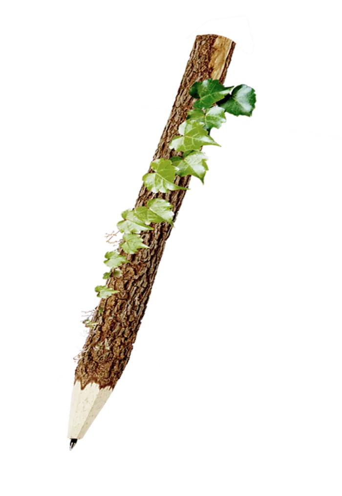 彩色个性木头藤蔓铅笔
