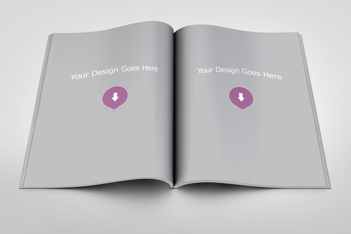 产品画册提案效果样机模板