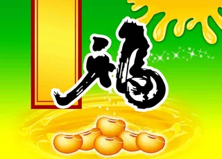 黄豆 大豆 五谷杂粮 餐饮 文化 谷物 食疗五谷丰登 