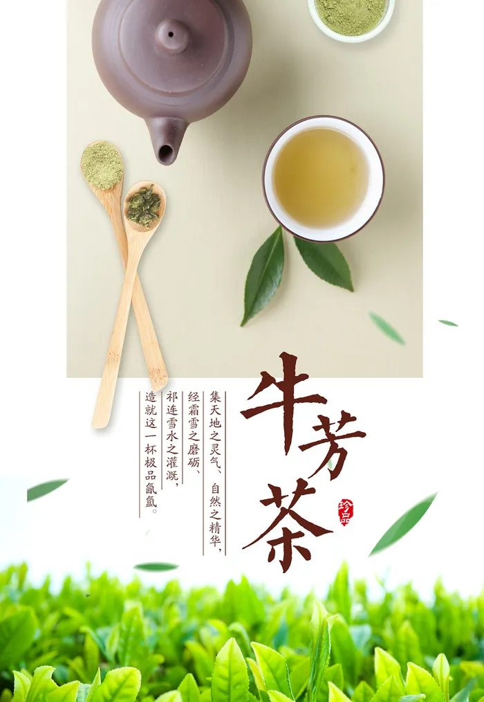 小清新绿色春茶上市茶文化海报psd模版下载