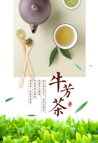 小清新绿色春茶上市茶文化海报