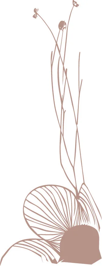 花纹，花，亚林花ai矢量模版下载