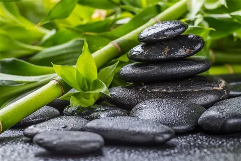 绿竹子与黑石头
