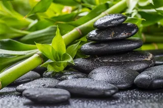 绿竹子与黑石头