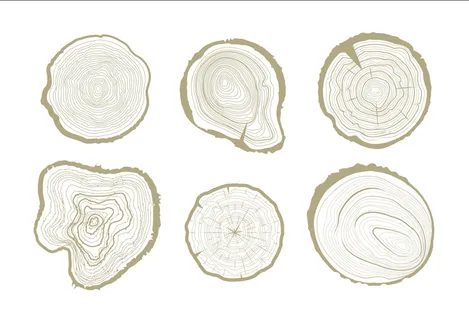 年轮矢量素材