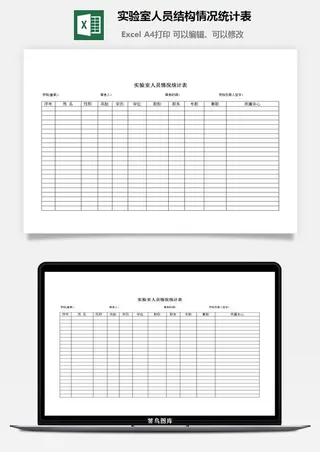 实验室人员结构情况统计表excel模板