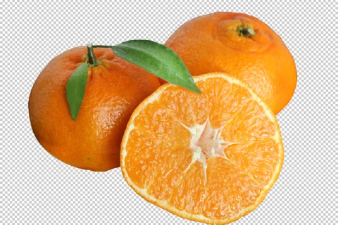 桔子免扣素材