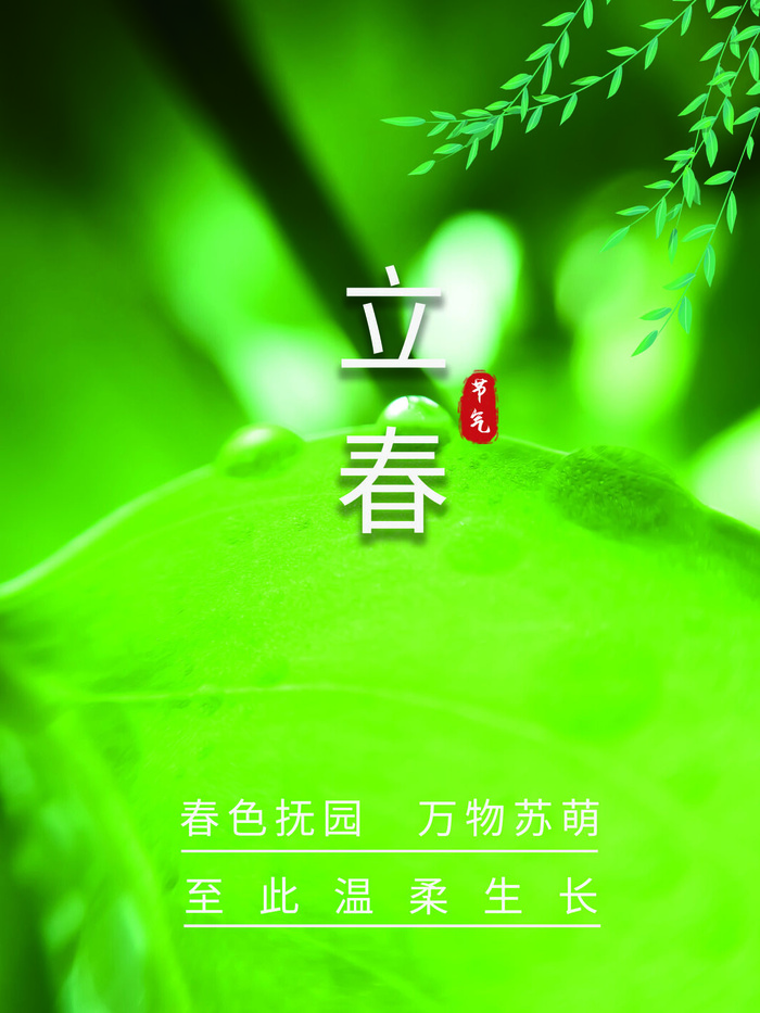 24节气立春春季新春春天海报模板PSD分层设计素材源文件模板psd模版下载
