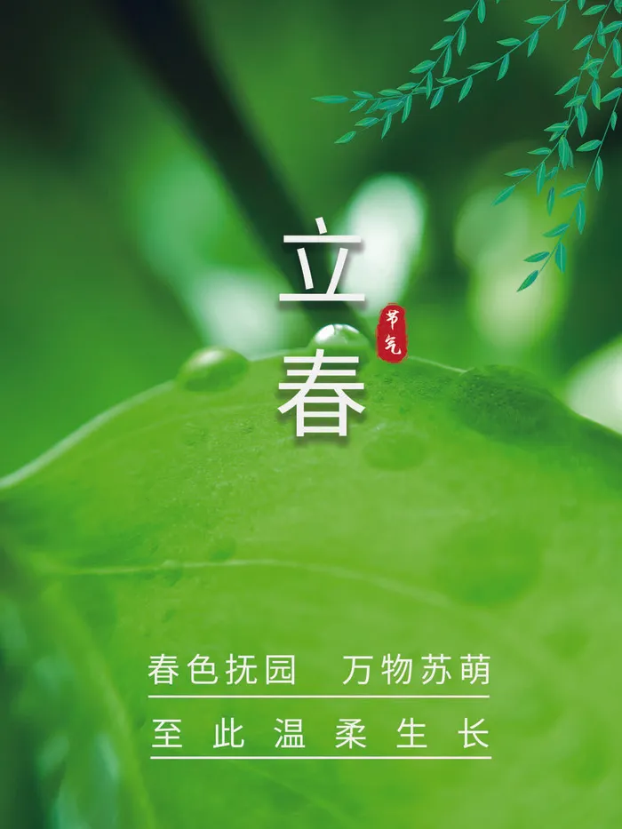 24节气立春春季新春春天海报模板PSD分层设计素材源文件模板psd模版下载