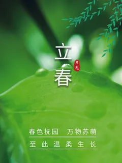 24节气立春春季新春春天海报模板PSD分层设计素材源文件模板 24节气立春春季新春春天海报模板PSD分层设计素材源文件模板