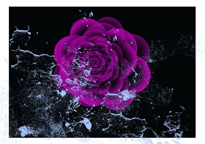 神秘高冷紫玫瑰