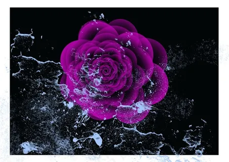 神秘高冷紫玫瑰