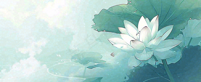 夏天荷花荷叶手绘绿色插画，夏至小暑大暑(1712x704)