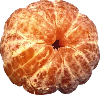 橘子免抠素材 (25)