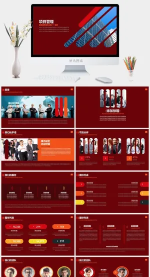 公司企业项目管理流程PPT模板预览图