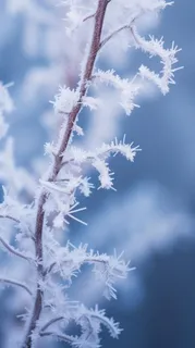 极简下雪雪景冬天背景