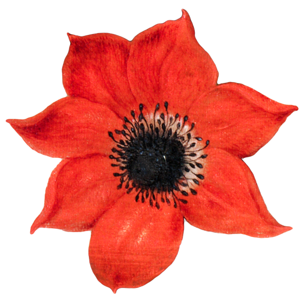 复古油画质感宫廷花卉植物花朵鲜花拼贴图案PNG免抠图片设计素材