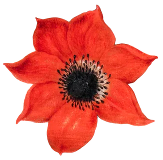 复古油画质感宫廷花卉植物花朵鲜花拼贴图案PNG免抠图片设计素材