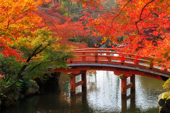 秋日枫叶小桥