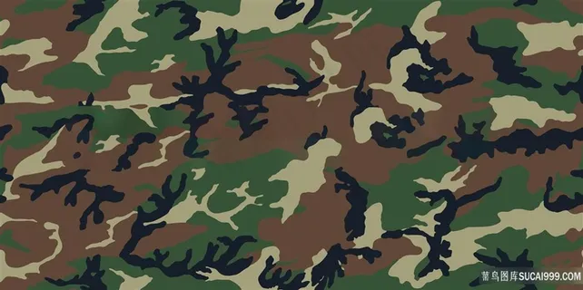 四色迷彩图案 四色迷彩图案