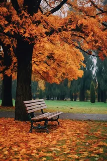 秋意浓公园长椅落叶摄影图