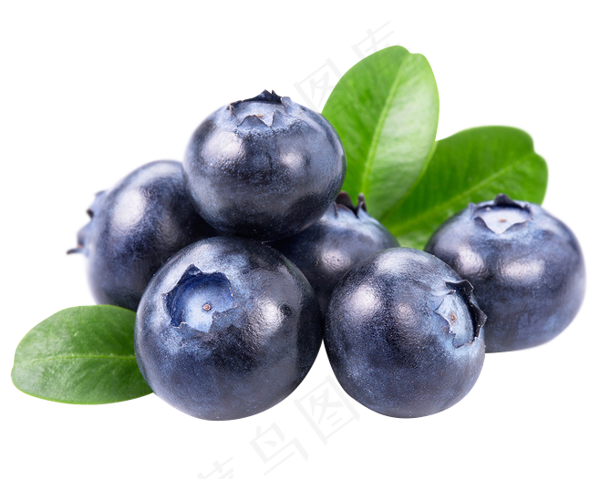 水果蓝莓免扣png素材