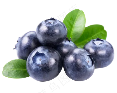 水果蓝莓免扣png素材