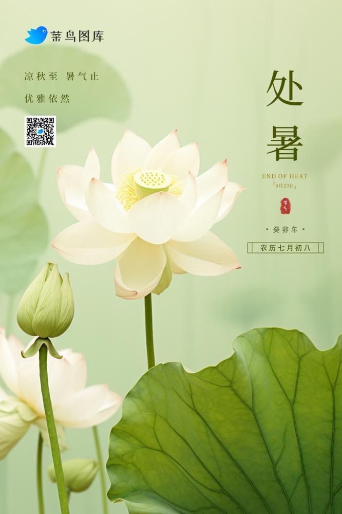 处暑淡雅绿色白荷花简约节气海报