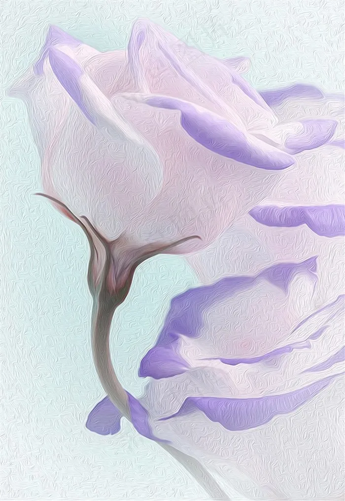 紫玫瑰清雅油画