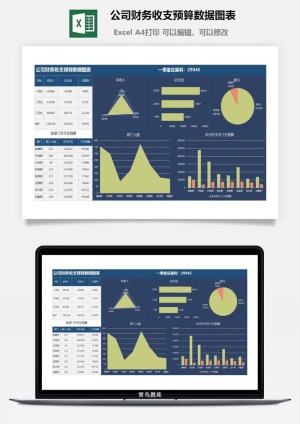 31公司财务收支预算数据图表