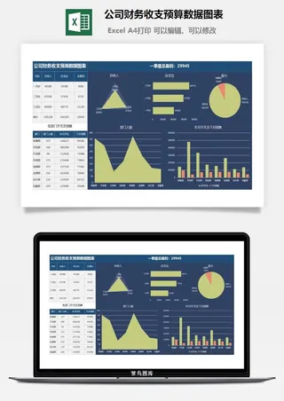 31公司财务收支预算数据图表