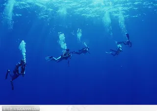 5人潜水
