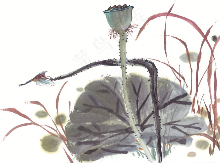 昆虫花草文化艺术美图素材