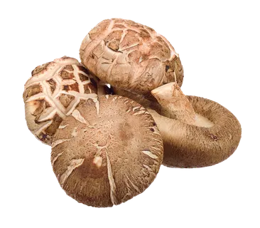 香菇 (20)超市商品白底图免抠实物摄影png格式图片透明底