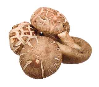香菇 (20)超市商品白底图免抠实物摄影png格式图片透明底