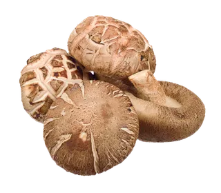 香菇 (20)超市商品白底图免抠实物摄影png格式图片透明底