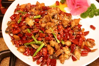 2871歌乐山辣子鸡sff