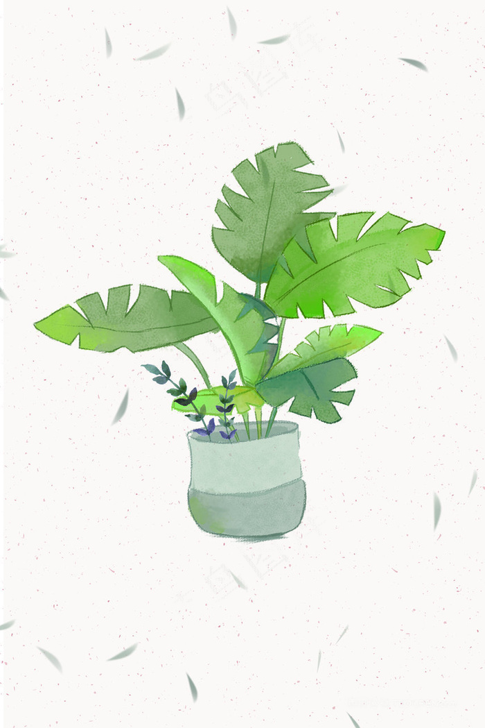 唯美树叶植物盆栽